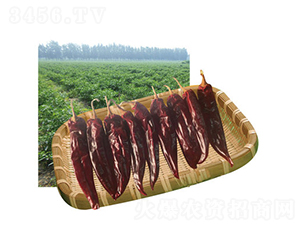 ��G����-�����N��-���}�r(n��ng)�I(y��)