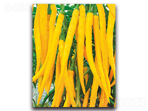 ��G�S���̖(h��o)-�����N��-���}�r(n��ng)�I(y��)