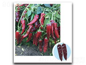 ��G����-�����N��-���}�r(n��ng)�I(y��)