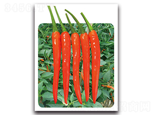 ���t7̖-�����N��-���}�r(n��ng)�I(y��)