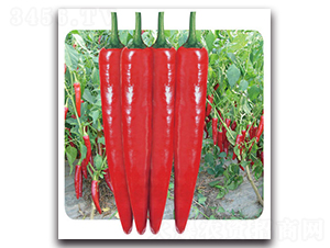 ��tһ̖-�����N��-���}�r(n��ng)�I(y��)