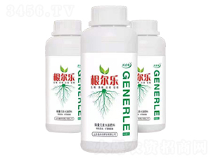 ������-������-��ɭ��