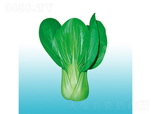 �֠�917-�๣�˷N��-�֠��r(n��ng)�I(y��)