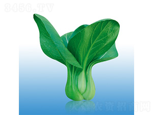 �֠�918-�๣�˷N��-�֠��r(n��ng)�I(y��)