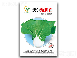 �֠����_��-�๣�˷N��-�֠��r(n��ng)�I(y��)