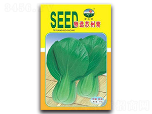 ���x�K����-��˷N��-�z��