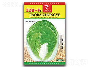 ��ʥ��һ̖F1-�ײ˷N��-�z��