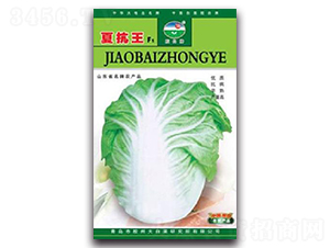 �Ŀ���F1-�ײ˷N��-�z��