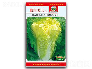 �z������F1-�ײ˷N��-�z��