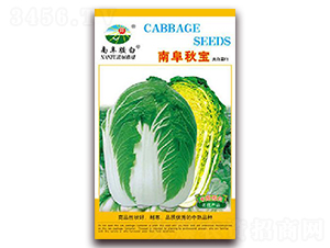 �ϸ��-�ײ˷N��-�z��