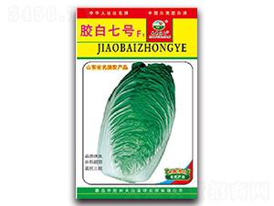 �z����̖F1-�ײ˷N��-�z��