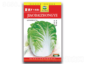 �ă�(y��u)F168F1-�ײ˷N��-�z��