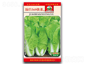 �z��369���F1-�ײ˷N��-�z��