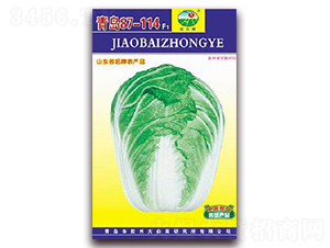 ���u87-114F1-�ײ˷N��-�z��