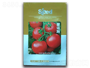 ���Z˹-���ѷN��-�S�T�N�I(y��)