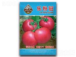 ���۹�-���ѷN��-�S�T�N�I(y��)