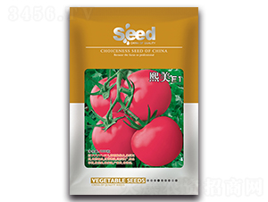 ����F1-���ѷN��-�S�T�N�I(y��)