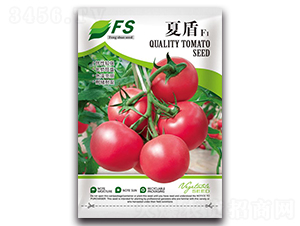 �Ķ�F1-���ѷN��-�S�T�N�I(y��)