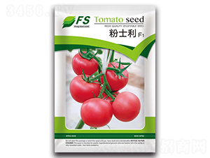 ��ʿ��F1-���ѷN��-�S�T�N�I(y��)