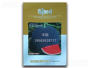 ī��K-6-���ϷN��-�S�T�N�I(y��)