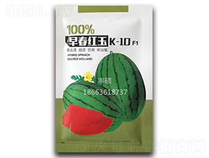 �紺�t��K-10-���ϷN��-�S�T�N�I(y��)