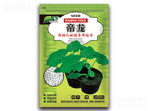 ����-�������ľ�N��-�S�T�N�I(y��)