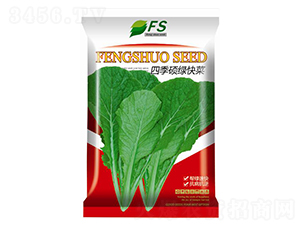 �ļ��T�G���-��˷N��-�S�T�N�I(y��)