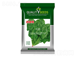 �ٵ�˹-�๣�˷N��-�S�T�N�I(y��)