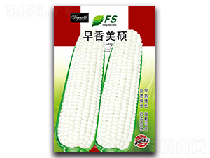 �������T-��Ŵ���׷N��-�S�T�N�I(y��)