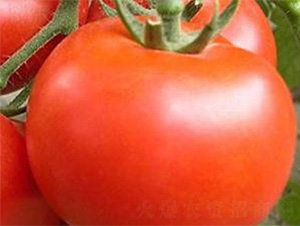 NA166-���ѷN��-���S�r(n��ng)�I(y��)