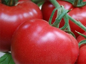 NA118-���ѷN��-���S�r(n��ng)�I(y��)