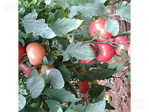 ���S002-���ѷN��-���S�r(n��ng)�I(y��)