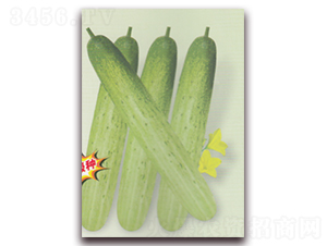 ����S��-�S�ϷN��-����N�I(y��)