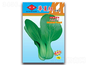 �A�ļt�๣��-�๣�˷N��-����N�I(y��)