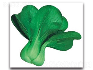 ����8̖-�๣�˷N��-����N�I(y��)