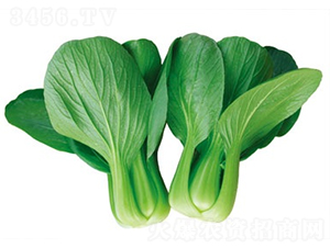 �t����322��-�๣�˷N��-����N�I(y��)