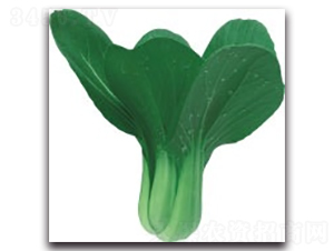 ����3̖-�๣�˷N��-����N�I(y��)