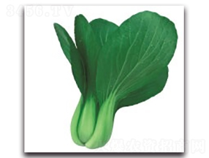 ����2̖-�๣�˷N��-����N�I(y��)