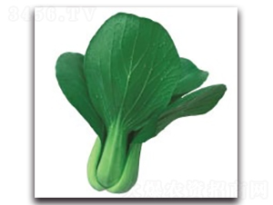 ����1̖-�๣�˷N��-����N�I(y��)