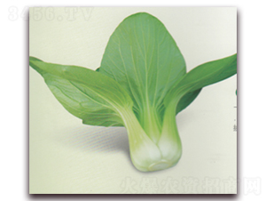 ����S600-�๣�˷N��-����N�I(y��)