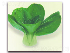 �����๣��-�๣�˷N��-����N�I(y��)