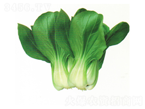 ����1104-�๣�˷N��-����N�I(y��)