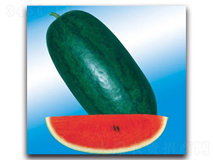 �_��������-���ϷN��-����N�I(y��)