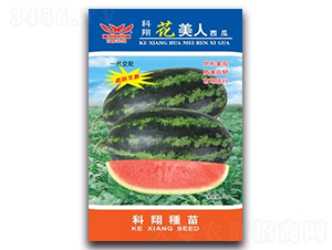 ����������-���ϷN��-����N�I(y��)