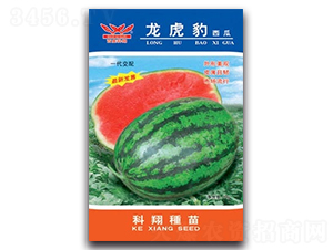 ����������-���ϷN��-����N�I(y��)