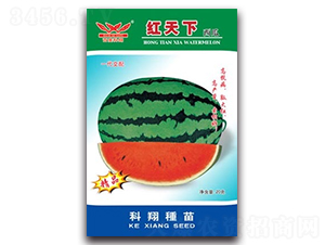 �t����-���ϷN��-����N�I(y��)