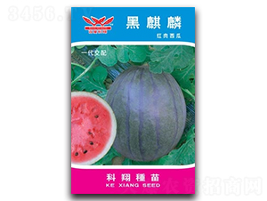 ������-���ϷN��-����N�I(y��)