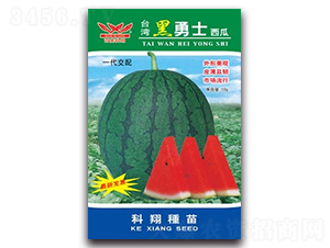 ����ʿ-���ϷN��-����N�I(y��)