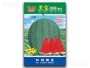 �ڌ�369����-���ϷN��-����N�I(y��)