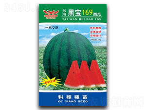 �ڌ�169����-���ϷN��-����N�I(y��)